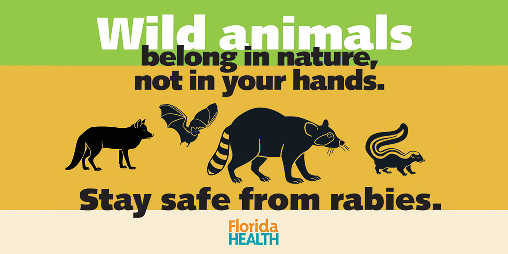 illustration of wild animals with the words wild animals belong in nature, not in your hands. Stay safe from rabies.